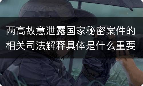 两高故意泄露国家秘密案件的相关司法解释具体是什么重要内容