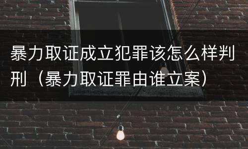 暴力取证成立犯罪该怎么样判刑（暴力取证罪由谁立案）