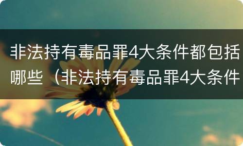 非法持有毒品罪4大条件都包括哪些（非法持有毒品罪4大条件都包括哪些内容）