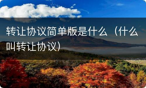 转让协议简单版是什么（什么叫转让协议）