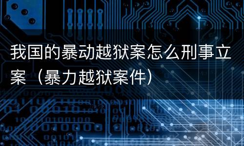 我国的暴动越狱案怎么刑事立案（暴力越狱案件）