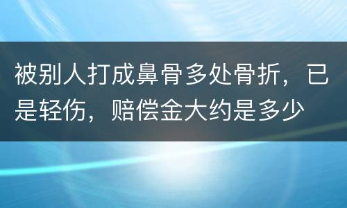 被别人打成鼻骨多处骨折，已是轻伤，赔偿金大约是多少