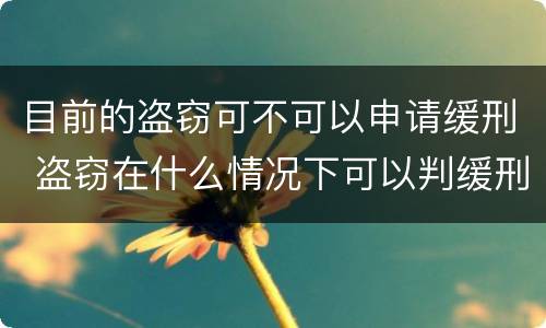 目前的盗窃可不可以申请缓刑 盗窃在什么情况下可以判缓刑