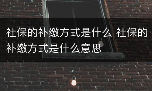 社保的补缴方式是什么 社保的补缴方式是什么意思