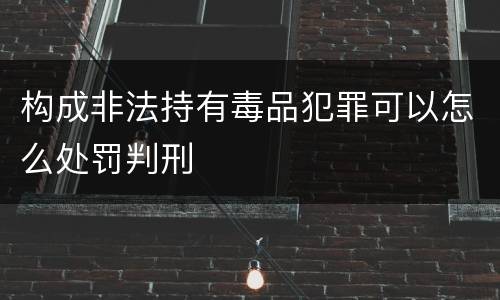 构成非法持有毒品犯罪可以怎么处罚判刑