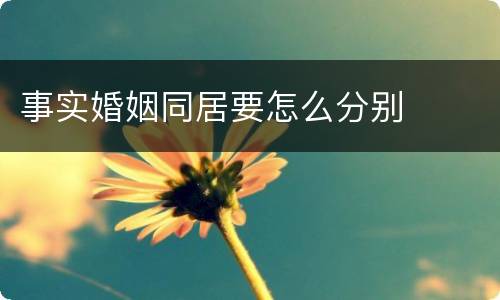 事实婚姻同居要怎么分别