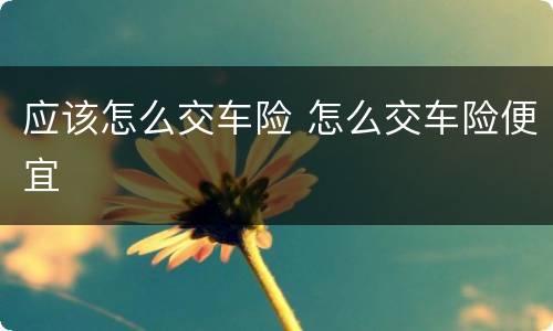 应该怎么交车险 怎么交车险便宜