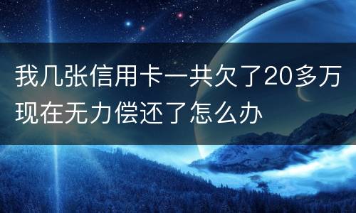 我几张信用卡一共欠了20多万现在无力偿还了怎么办