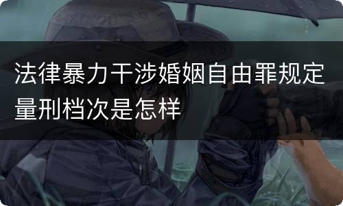 法律暴力干涉婚姻自由罪规定量刑档次是怎样