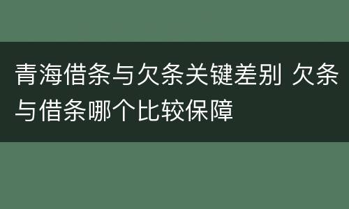 青海借条与欠条关键差别 欠条与借条哪个比较保障