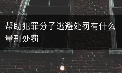 帮助犯罪分子逃避处罚有什么量刑处罚