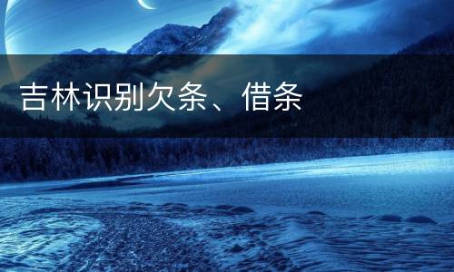 吉林识别欠条、借条