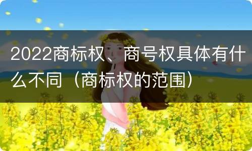 2022商标权、商号权具体有什么不同（商标权的范围）