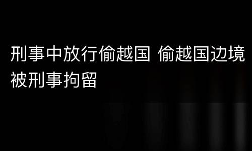 刑事中放行偷越国 偷越国边境被刑事拘留