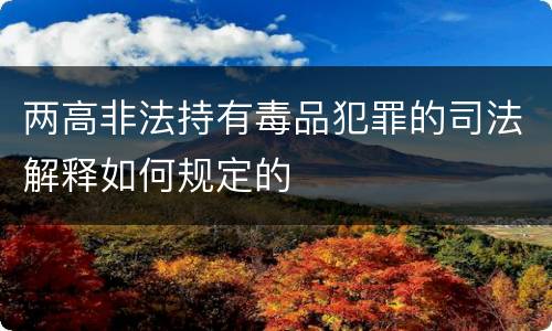 两高非法持有毒品犯罪的司法解释如何规定的