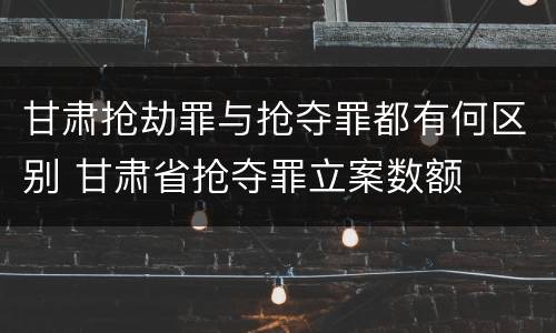 甘肃抢劫罪与抢夺罪都有何区别 甘肃省抢夺罪立案数额