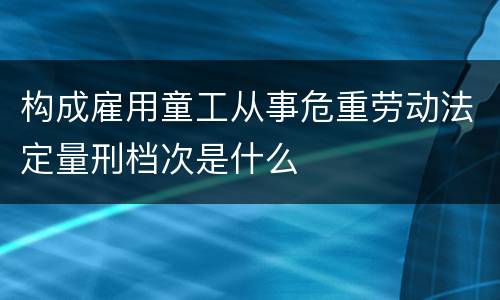 构成雇用童工从事危重劳动法定量刑档次是什么