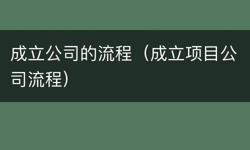 成立公司的流程（成立项目公司流程）