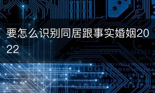 要怎么识别同居跟事实婚姻2022