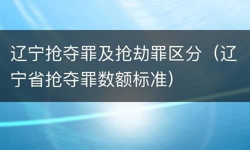 辽宁抢夺罪及抢劫罪区分（辽宁省抢夺罪数额标准）