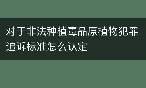对于非法种植毒品原植物犯罪追诉标准怎么认定