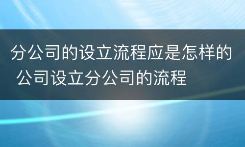 分公司的设立流程应是怎样的 公司设立分公司的流程