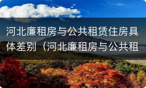 河北廉租房与公共租赁住房具体差别(河北廉租房与公共租赁住房具体差别是什么)