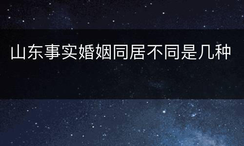 山东事实婚姻同居不同是几种