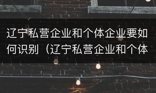 辽宁私营企业和个体企业要如何识别（辽宁私营企业和个体企业要如何识别企业）
