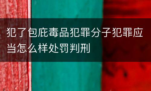 犯了包庇毒品犯罪分子犯罪应当怎么样处罚判刑