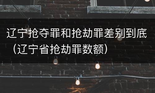 辽宁抢夺罪和抢劫罪差别到底（辽宁省抢劫罪数额）