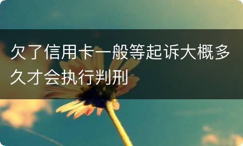 欠了信用卡一般等起诉大概多久才会执行判刑