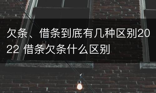 欠条、借条到底有几种区别2022 借条欠条什么区别