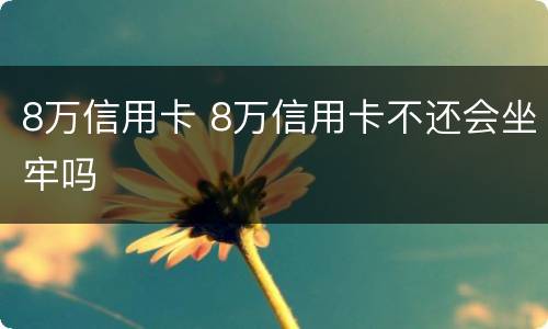 8万信用卡 8万信用卡不还会坐牢吗