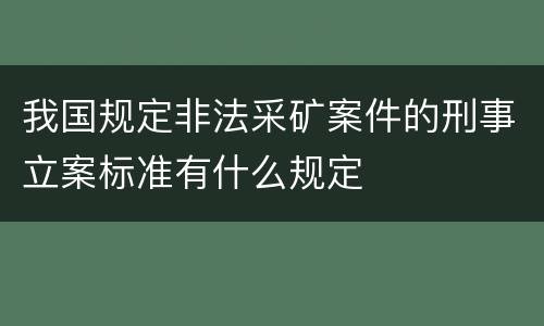 我国规定非法采矿案件的刑事立案标准有什么规定