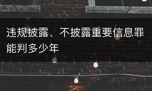 违规披露、不披露重要信息罪能判多少年