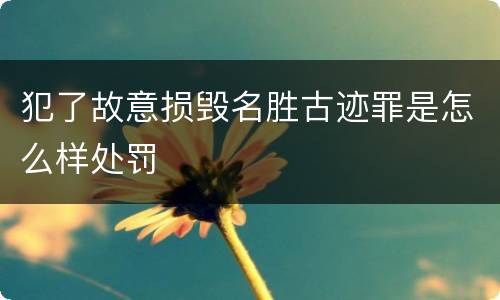 犯了故意损毁名胜古迹罪是怎么样处罚