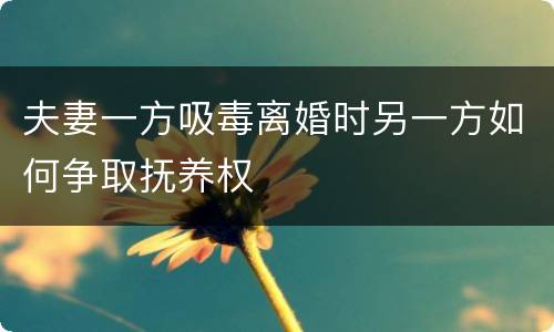 夫妻一方吸毒离婚时另一方如何争取抚养权