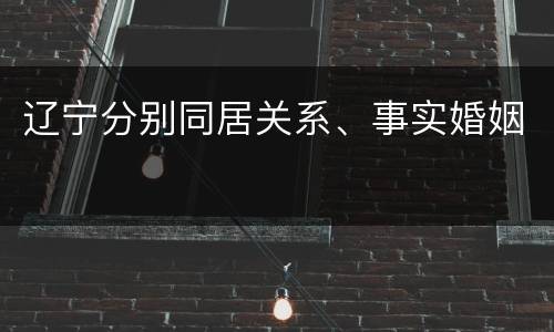 辽宁分别同居关系、事实婚姻