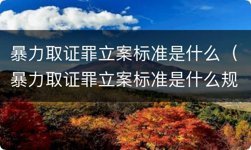 暴力取证罪立案标准是什么（暴力取证罪立案标准是什么规定）