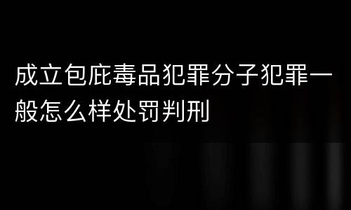 成立包庇毒品犯罪分子犯罪一般怎么样处罚判刑