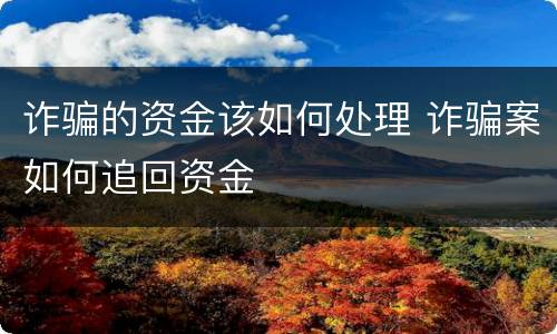 诈骗的资金该如何处理 诈骗案如何追回资金