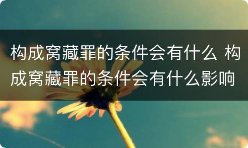 构成窝藏罪的条件会有什么 构成窝藏罪的条件会有什么影响