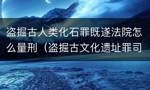 盗掘古人类化石罪既遂法院怎么量刑（盗掘古文化遗址罪司法解释）