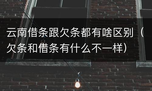 云南借条跟欠条都有啥区别（欠条和借条有什么不一样）