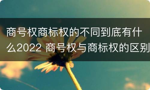 商号权商标权的不同到底有什么2022 商号权与商标权的区别