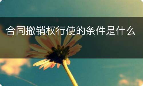 合同撤销权行使的条件是什么