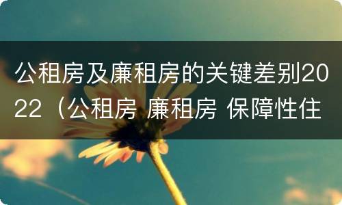 公租房及廉租房的关键差别2022（公租房 廉租房 保障性住房区别）