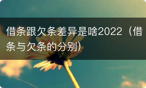 借条跟欠条差异是啥2022（借条与欠条的分别）