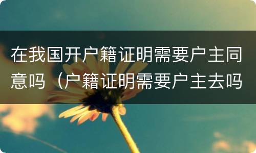 在我国开户籍证明需要户主同意吗（户籍证明需要户主去吗?）